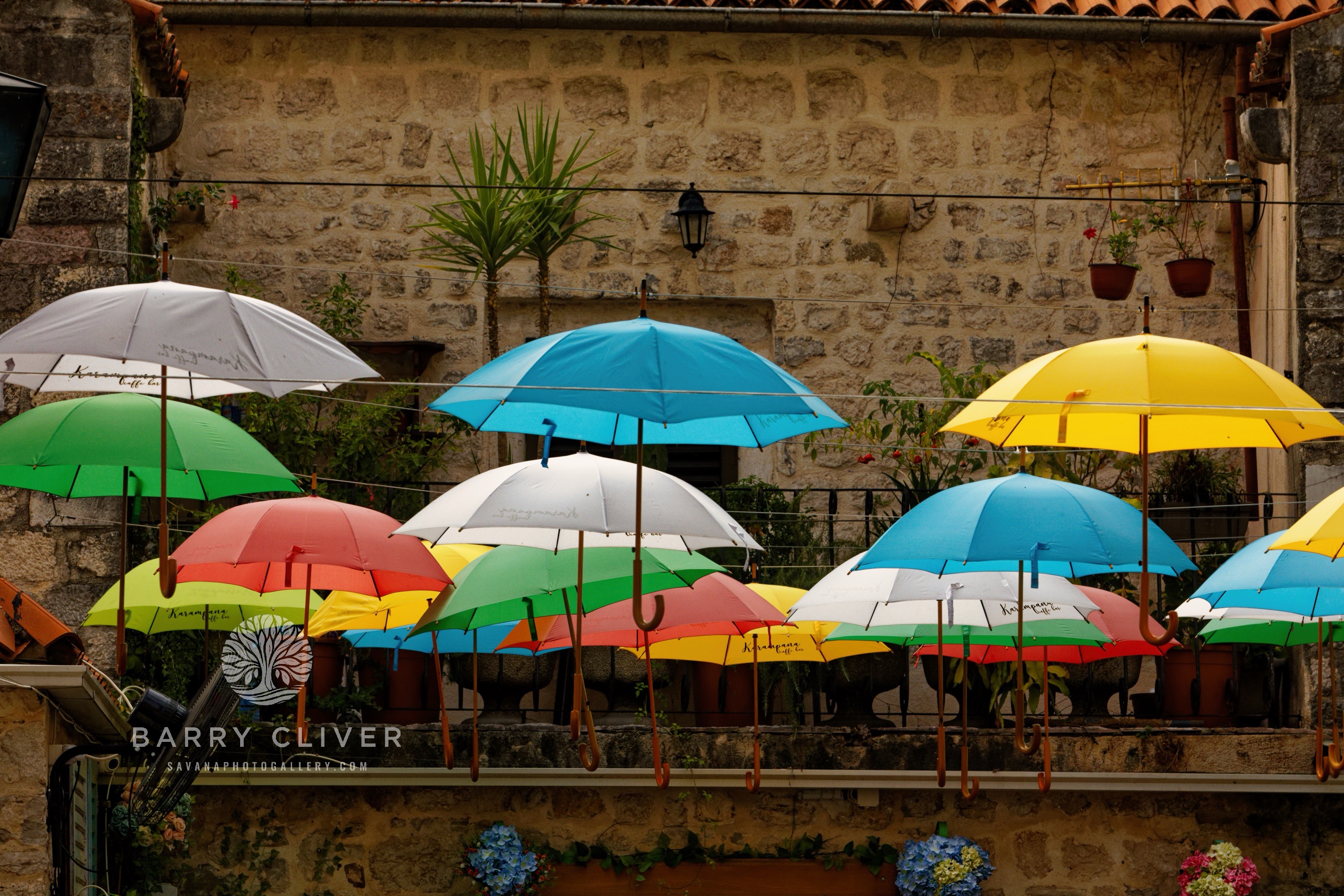 Kotor Old Town