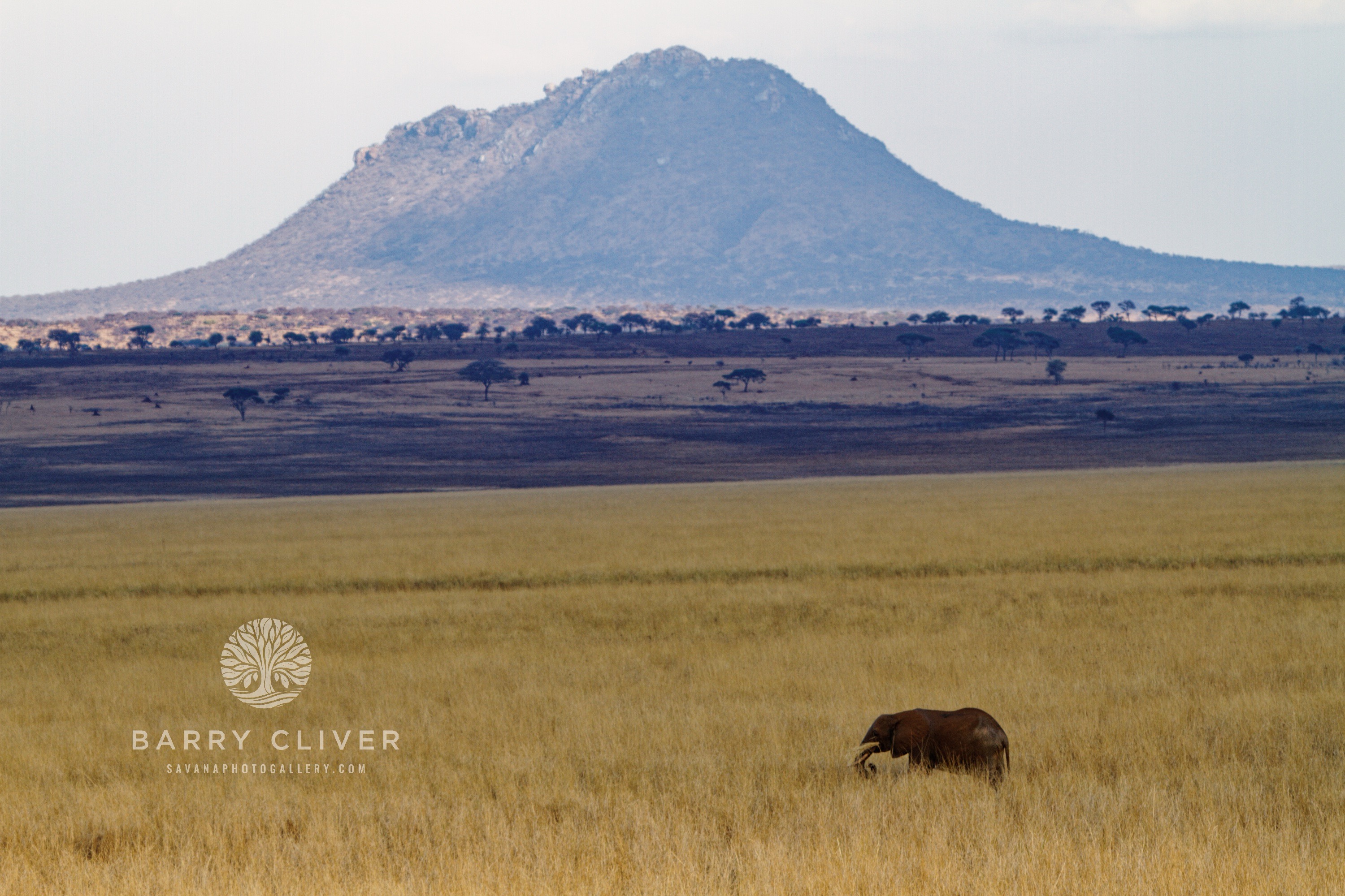 Tarangire National Park