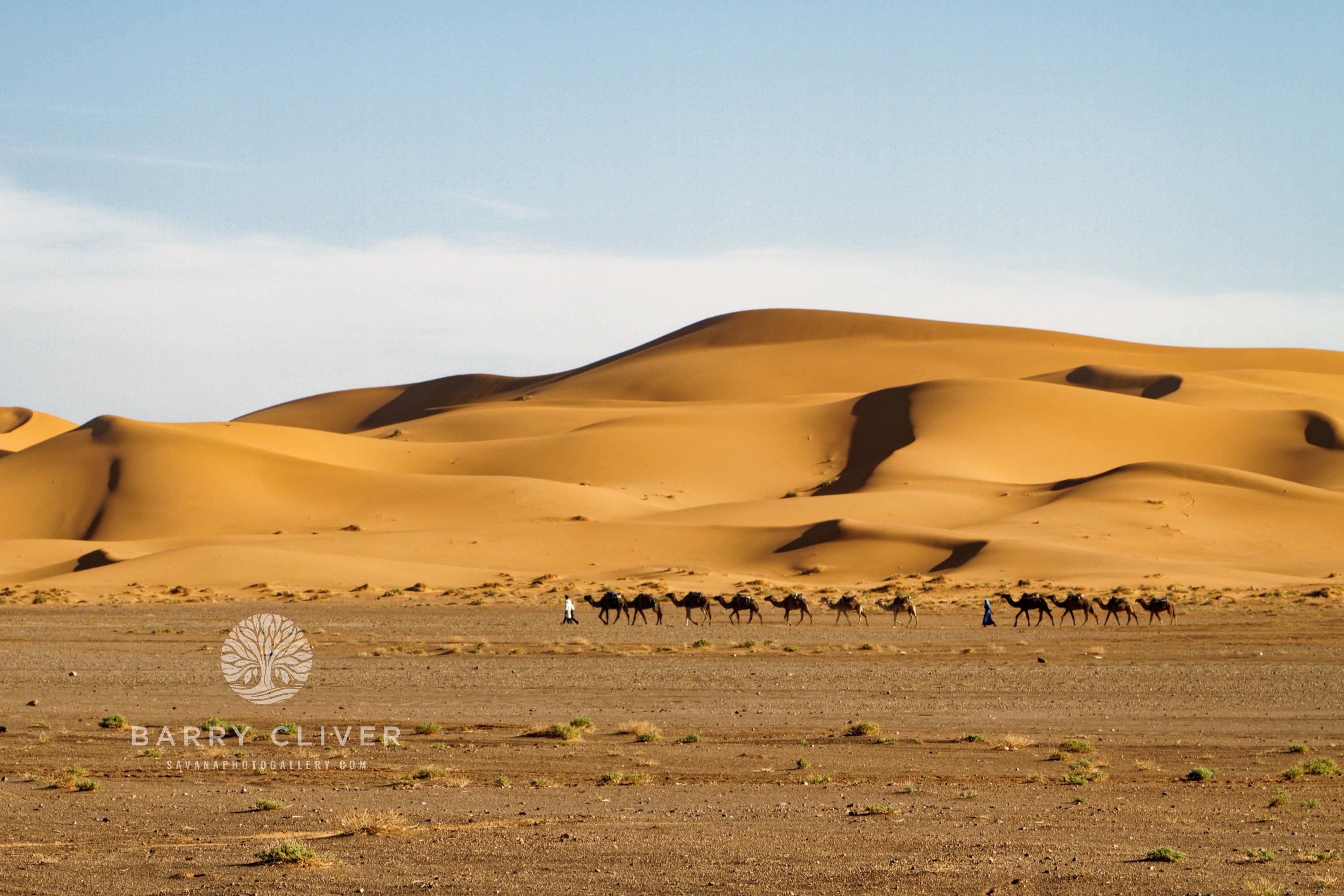 Desert Caravan