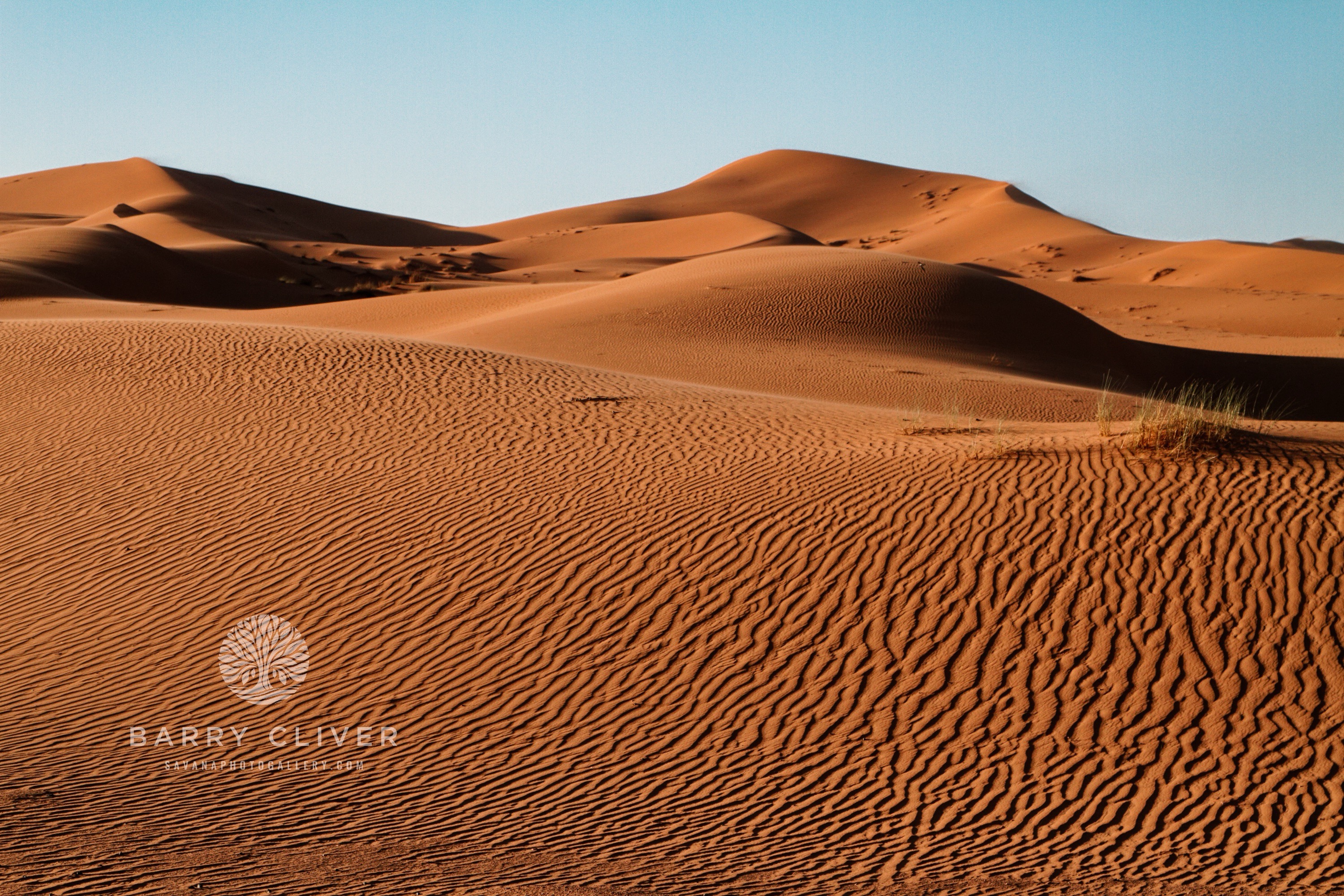 Dunes of the Sahara