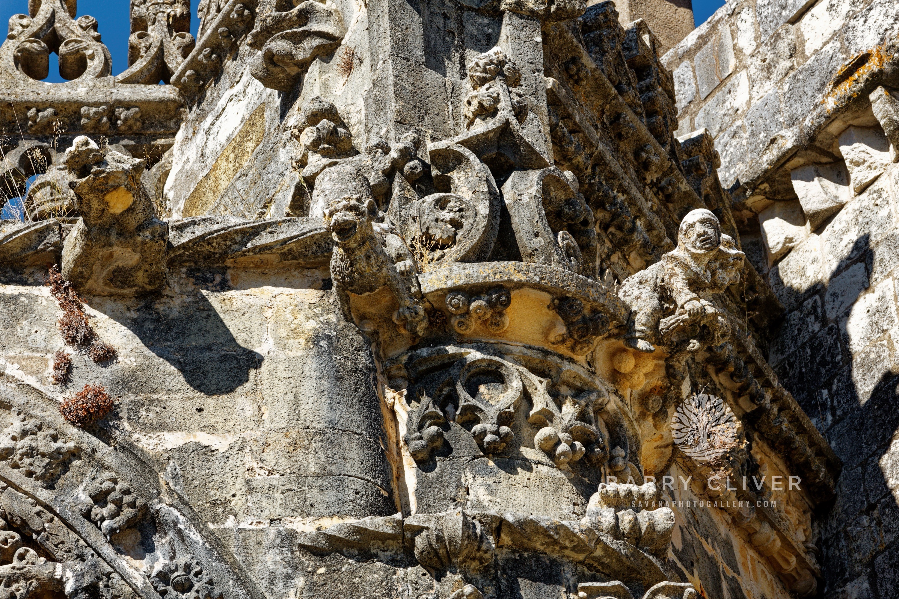 Stone Carvings of Tomar