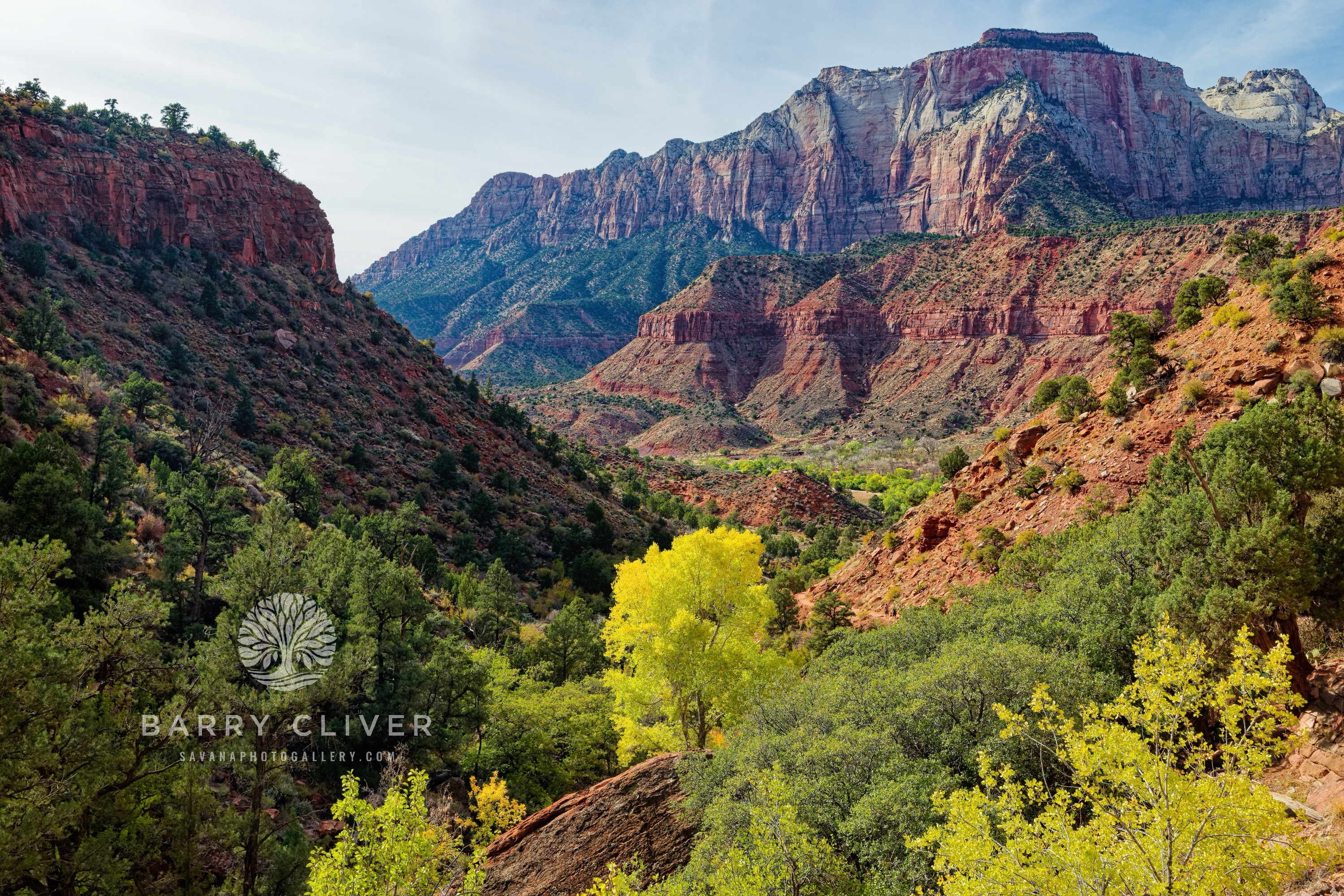 Colors of Zion