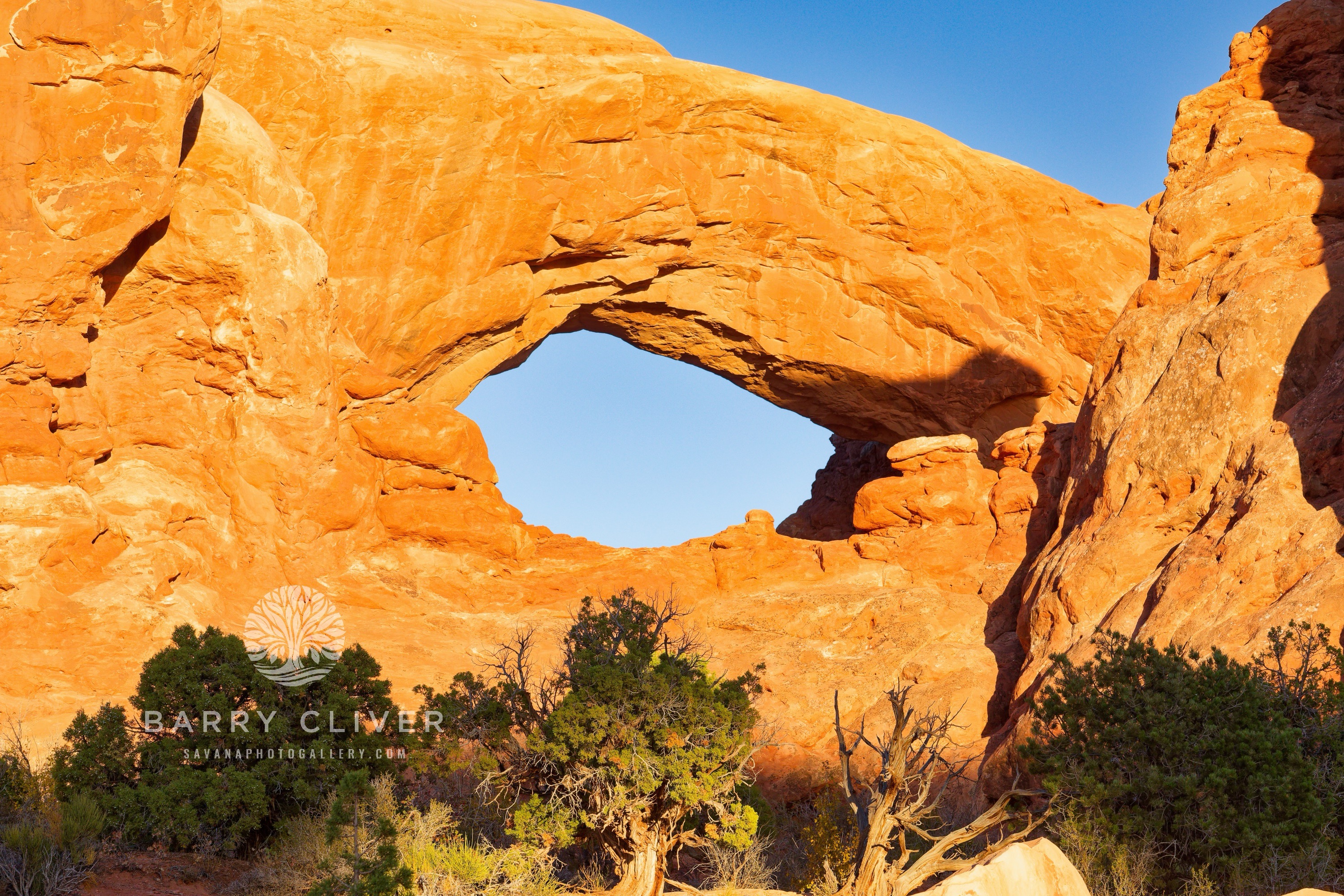 South Window Arch