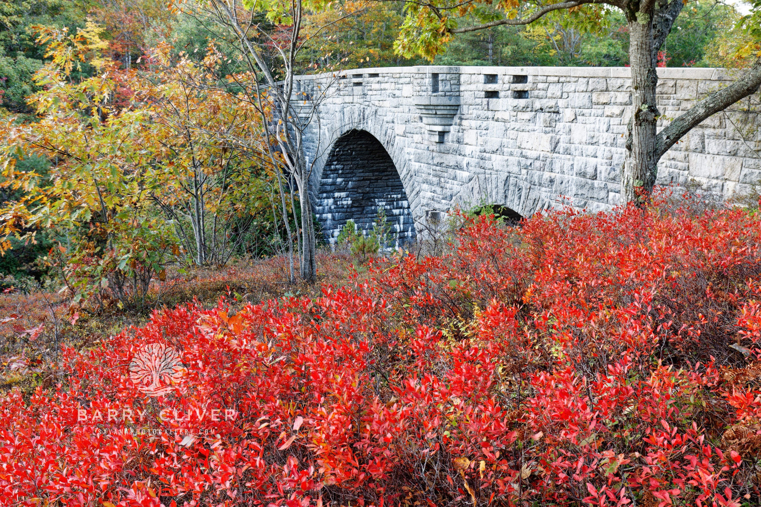 Duck Brook Bridge