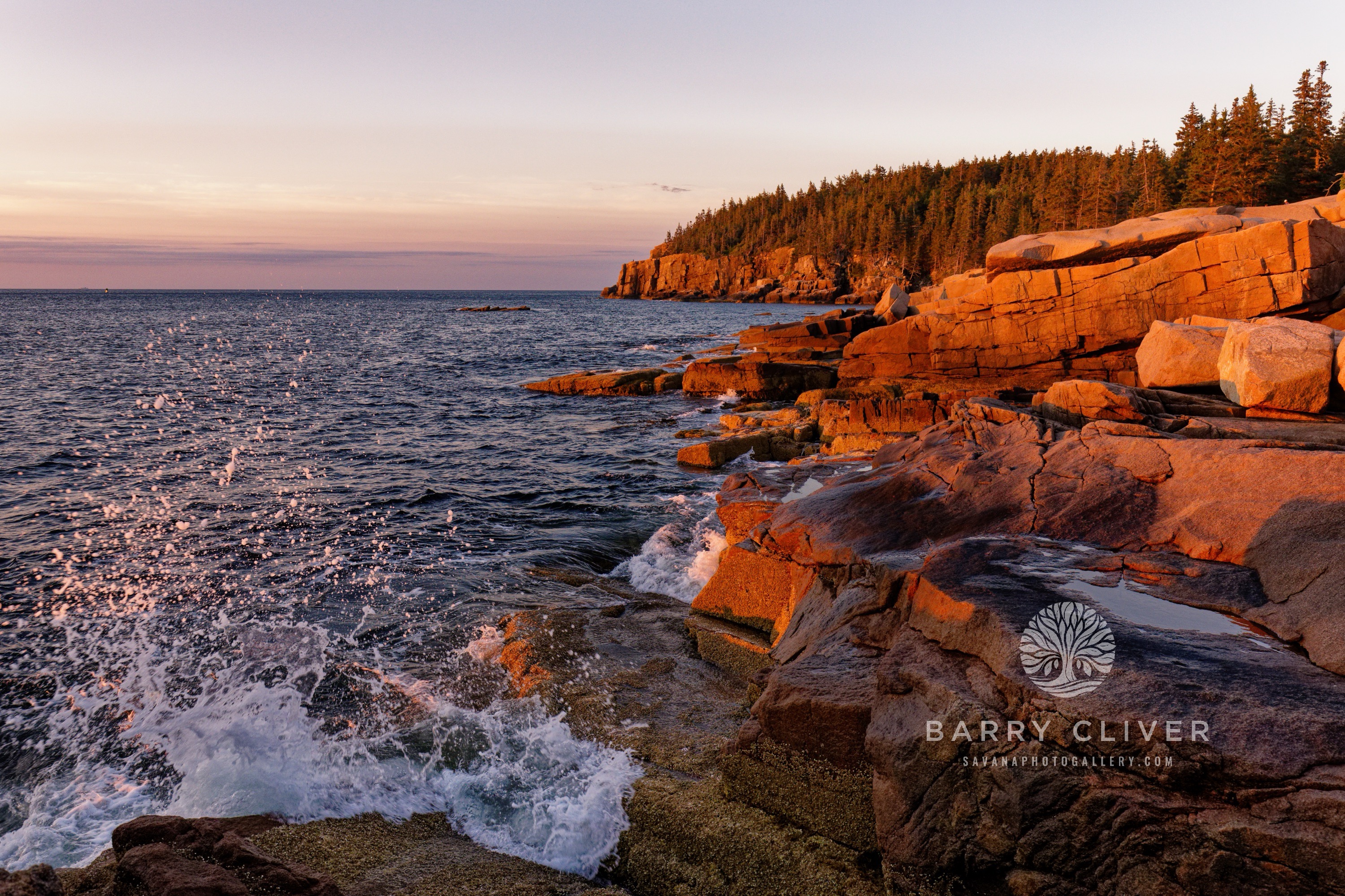 Otter Point, Acadia NP