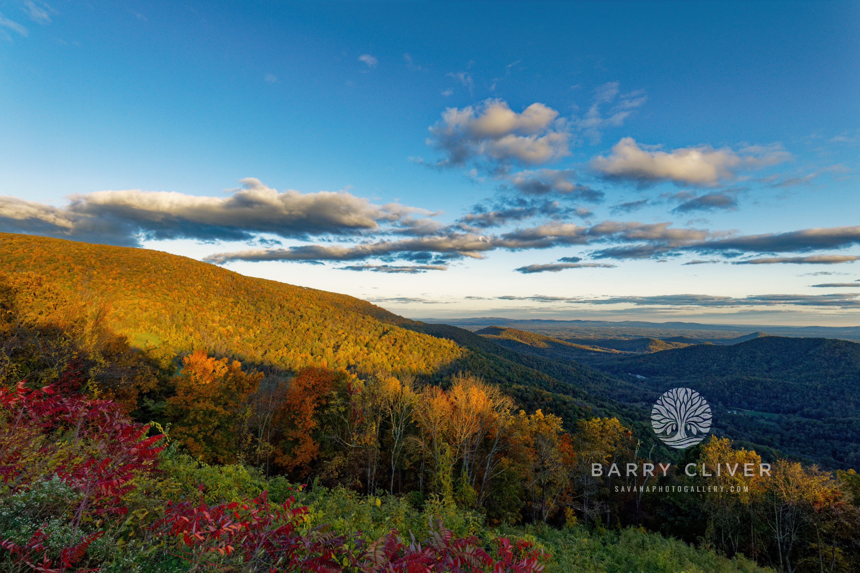 Shenandoah Autumn