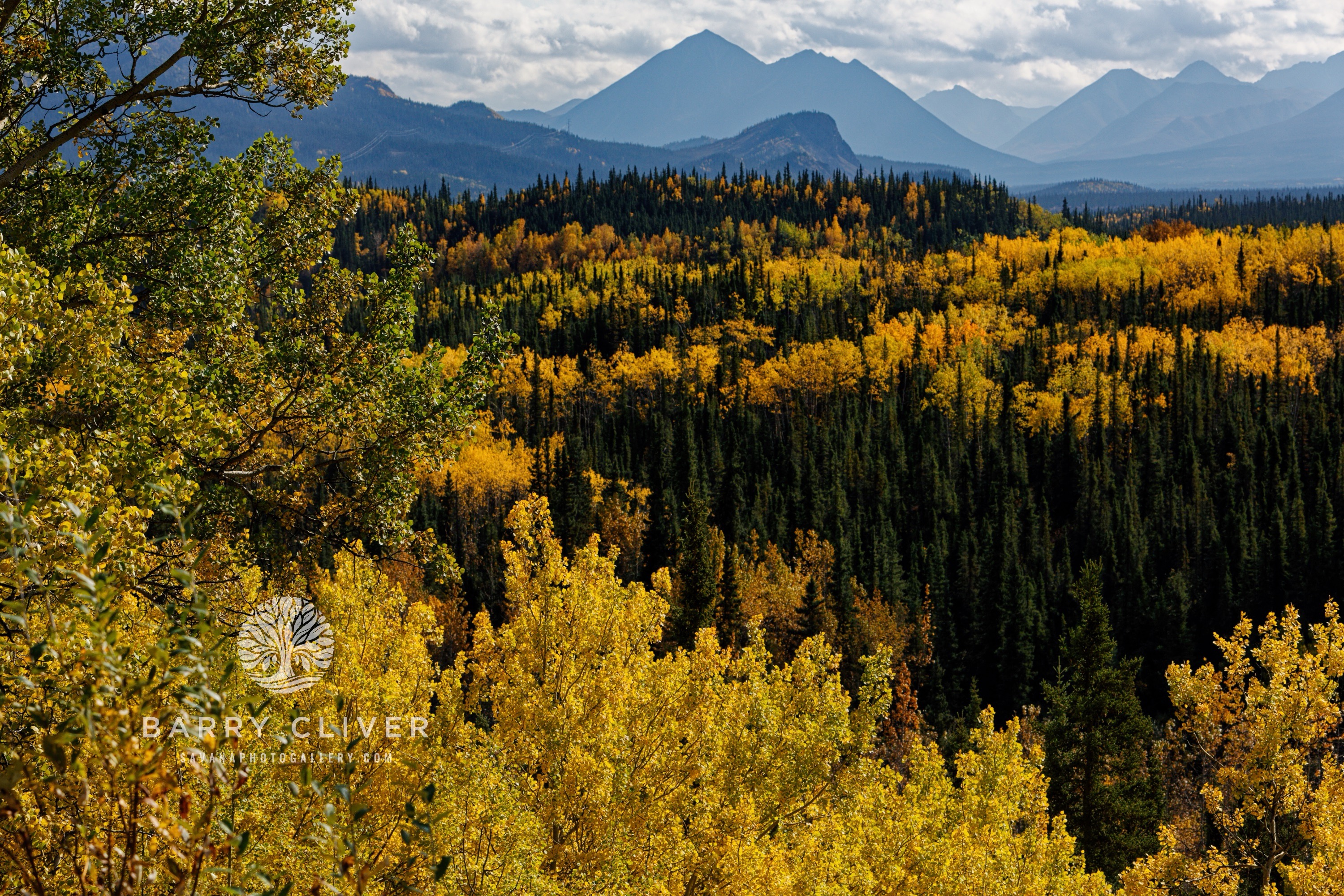 Alaskan Autumn