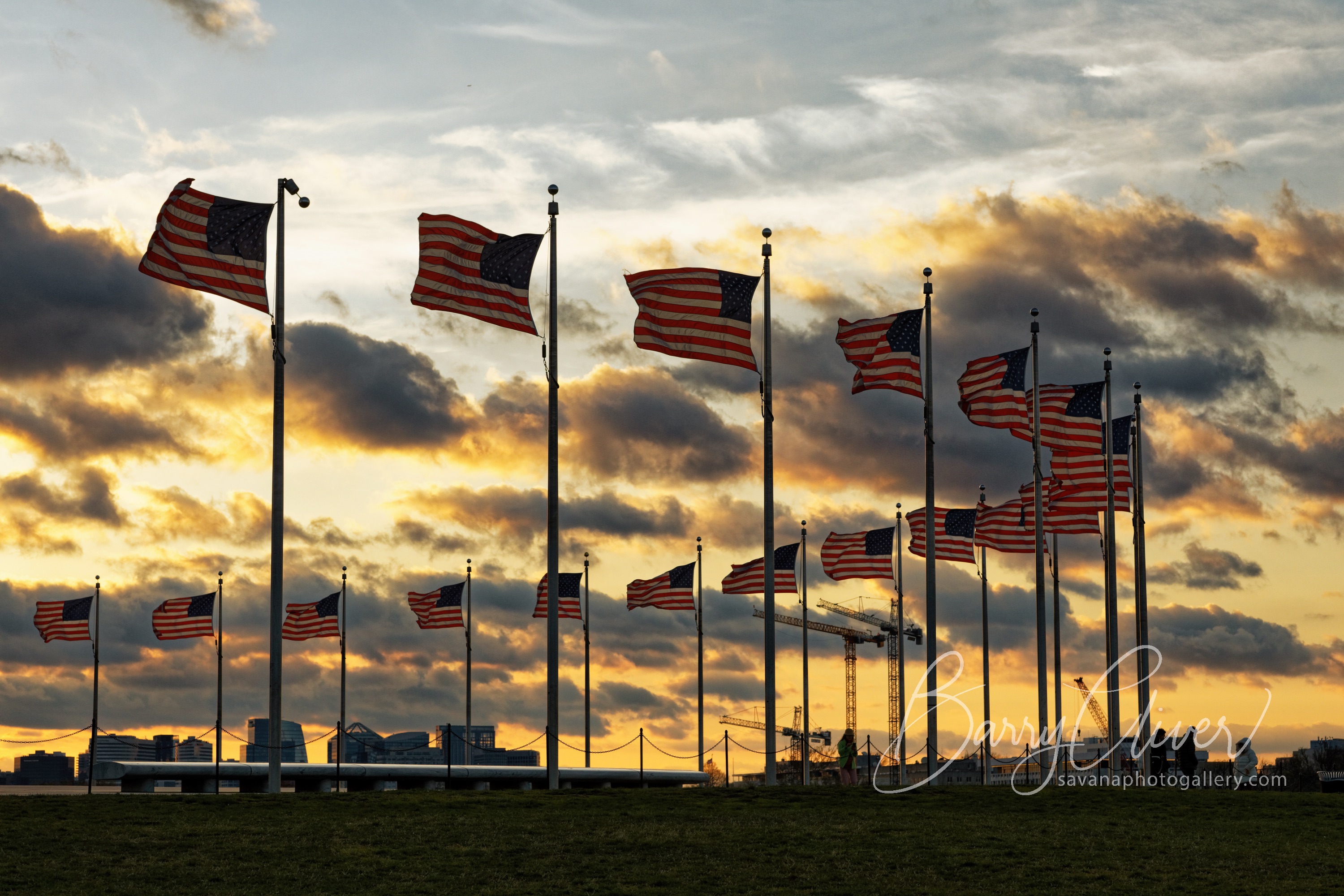 697A7649Flags